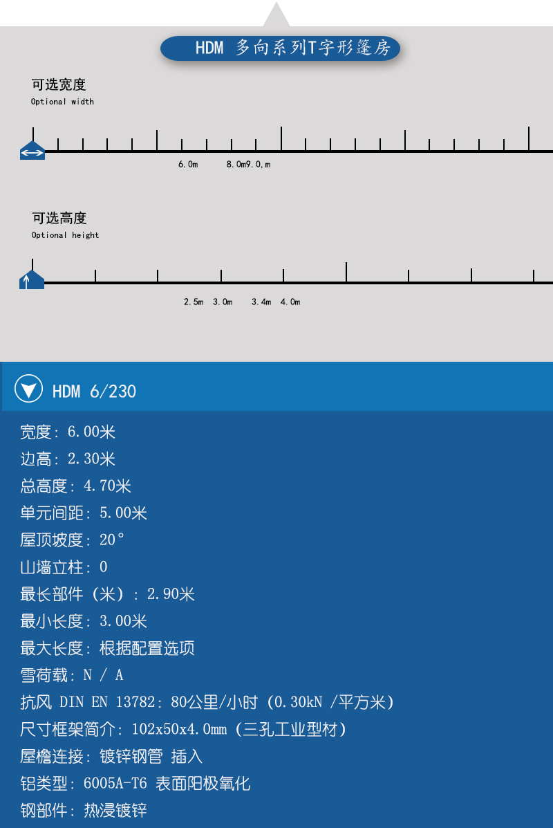 小型T字形篷房，小型篷房，華燁篷房，篷房定制